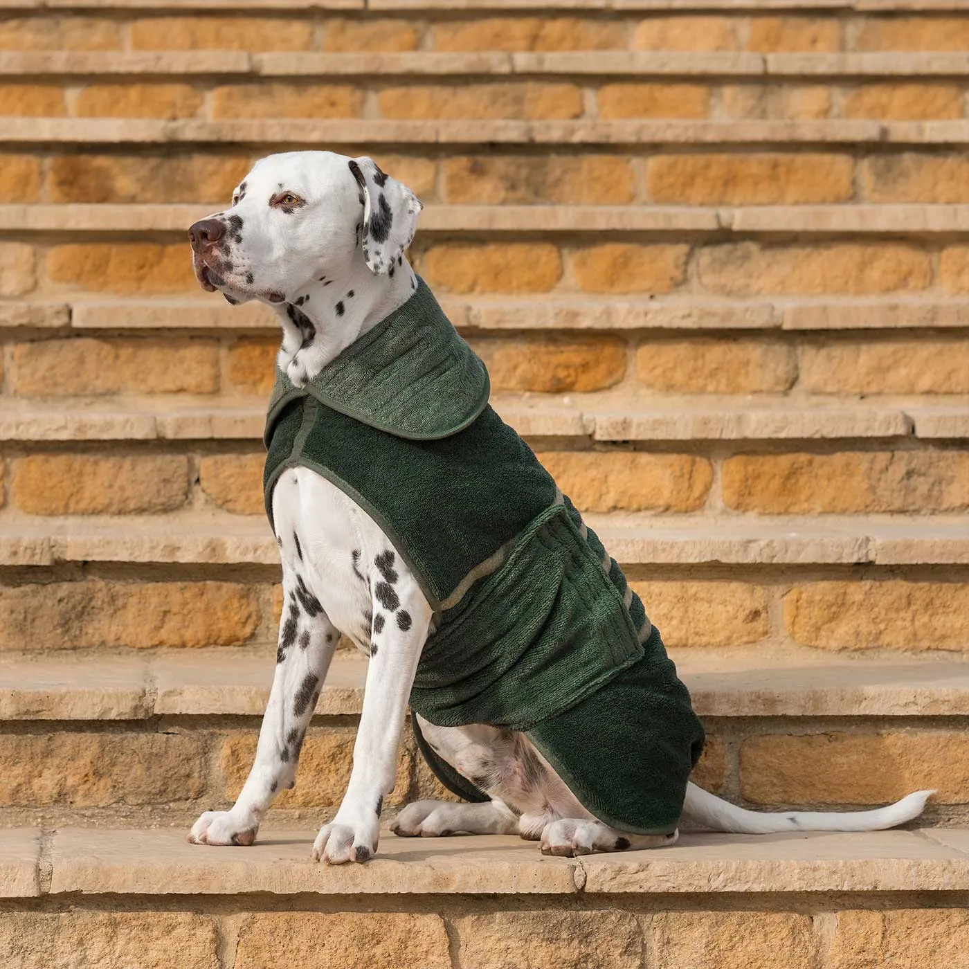 Bamboo Drying Coat in Fir by Lords & Labradors