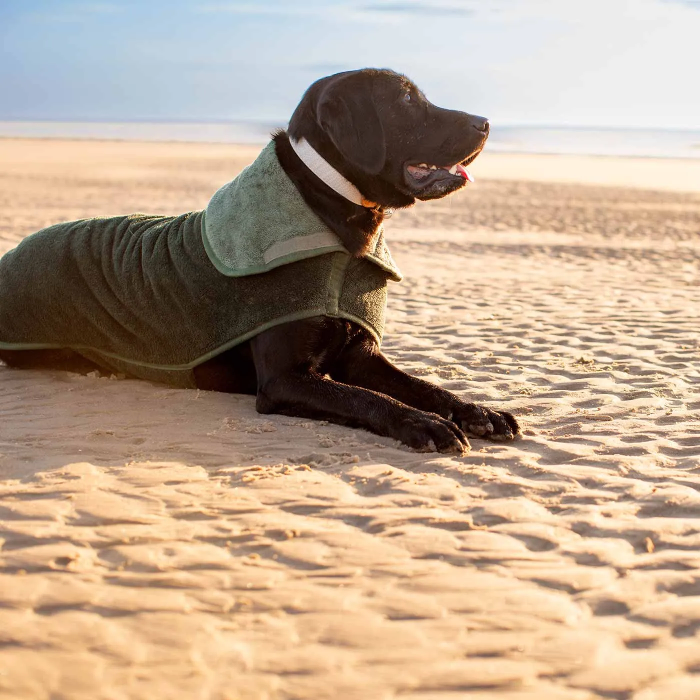 Bamboo Drying Coat in Fir by Lords & Labradors