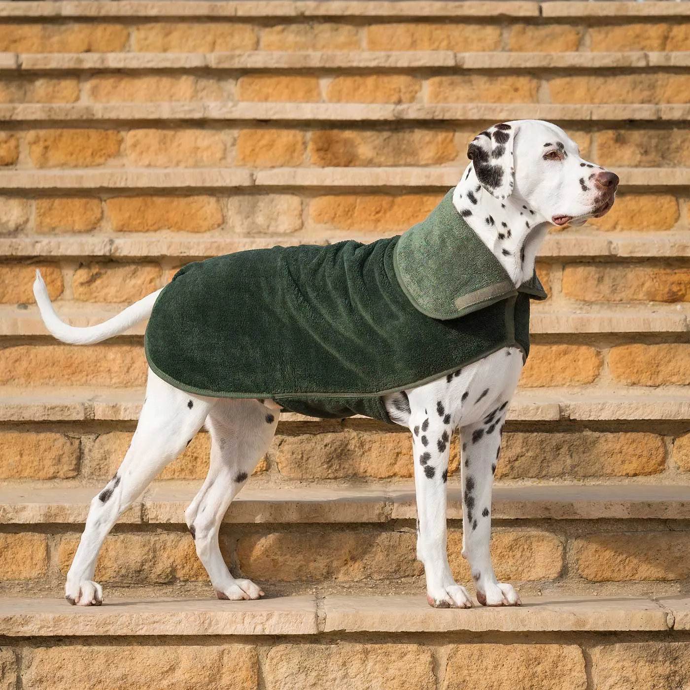 Bamboo Drying Coat in Fir by Lords & Labradors