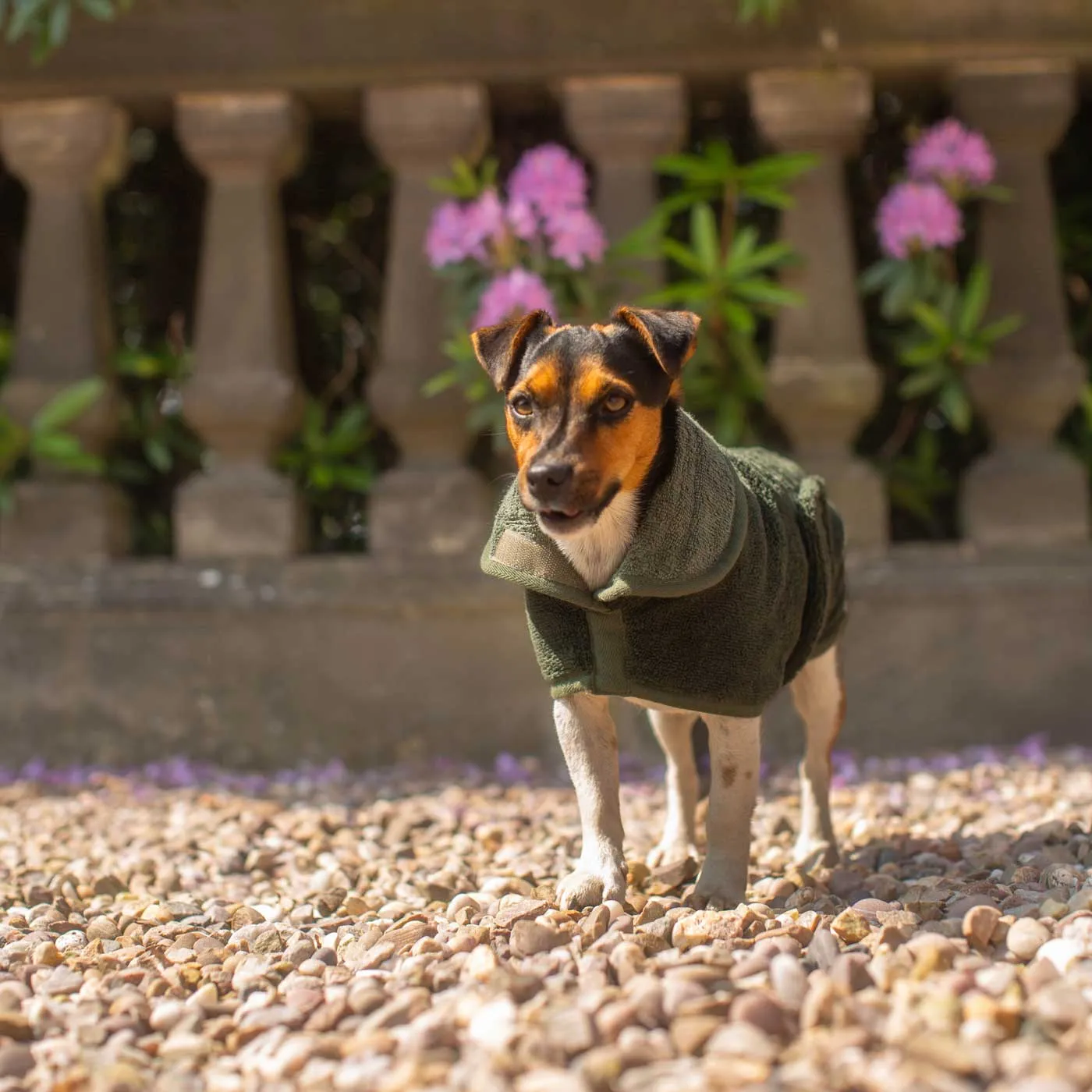 Bamboo Drying Coat in Fir by Lords & Labradors