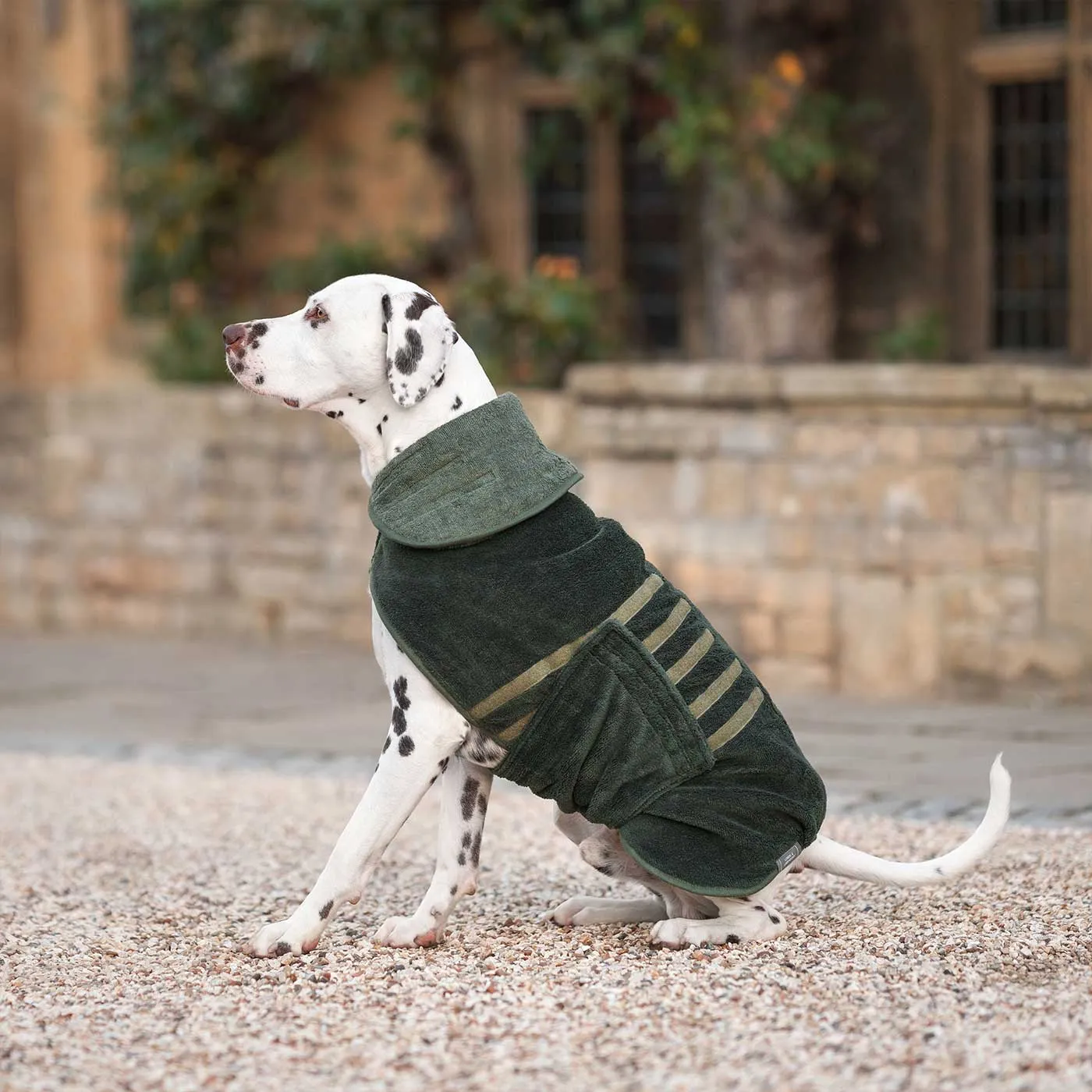 Bamboo Drying Coat in Fir by Lords & Labradors