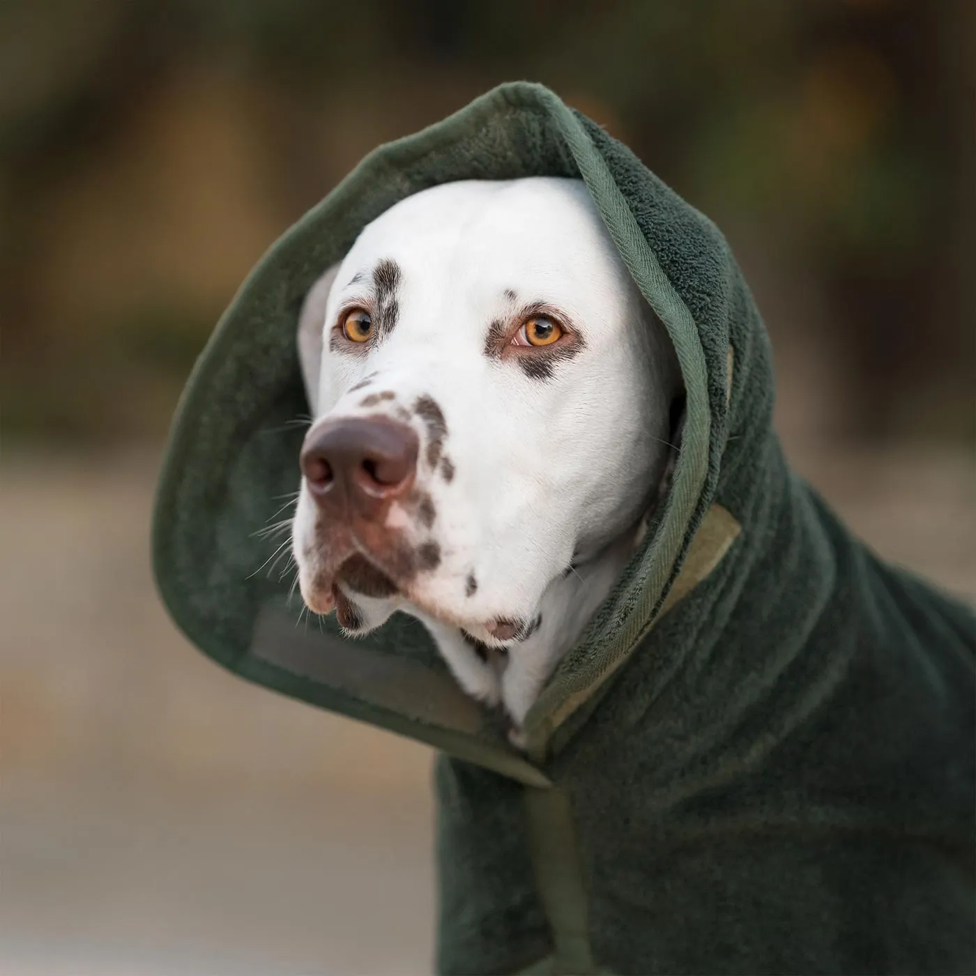 Bamboo Drying Coat in Fir by Lords & Labradors