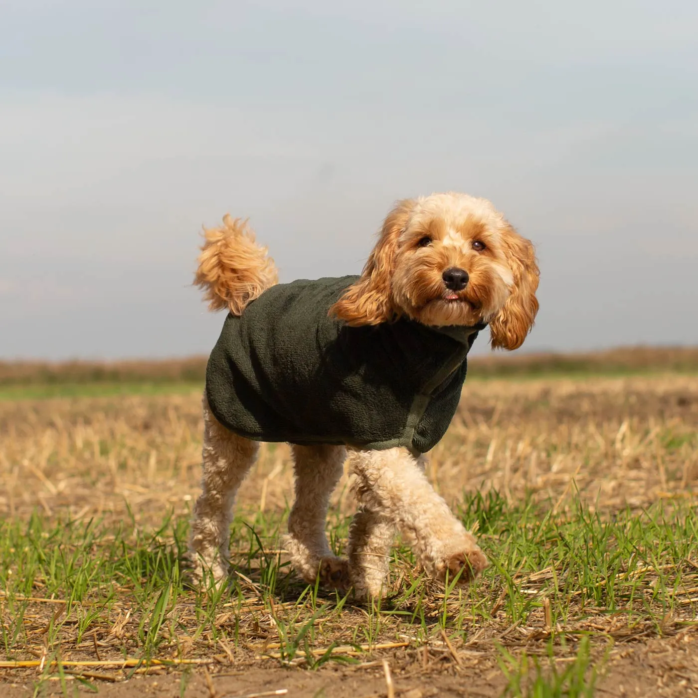 Bamboo Drying Coat in Fir by Lords & Labradors