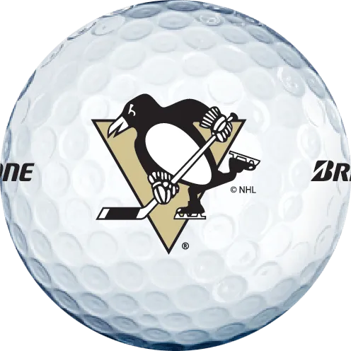 Bridgestone e6 NHL Licensed Golf Balls - 8 Teams Available