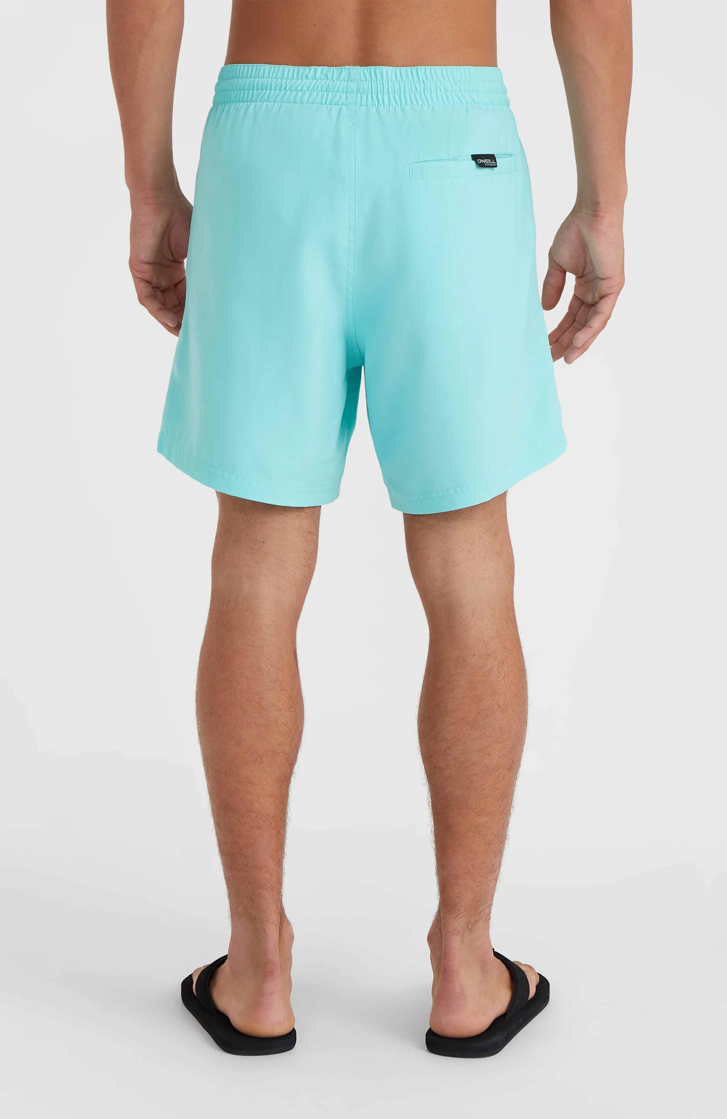 Cali 16'' Swim Shorts | Aqua Spalsh